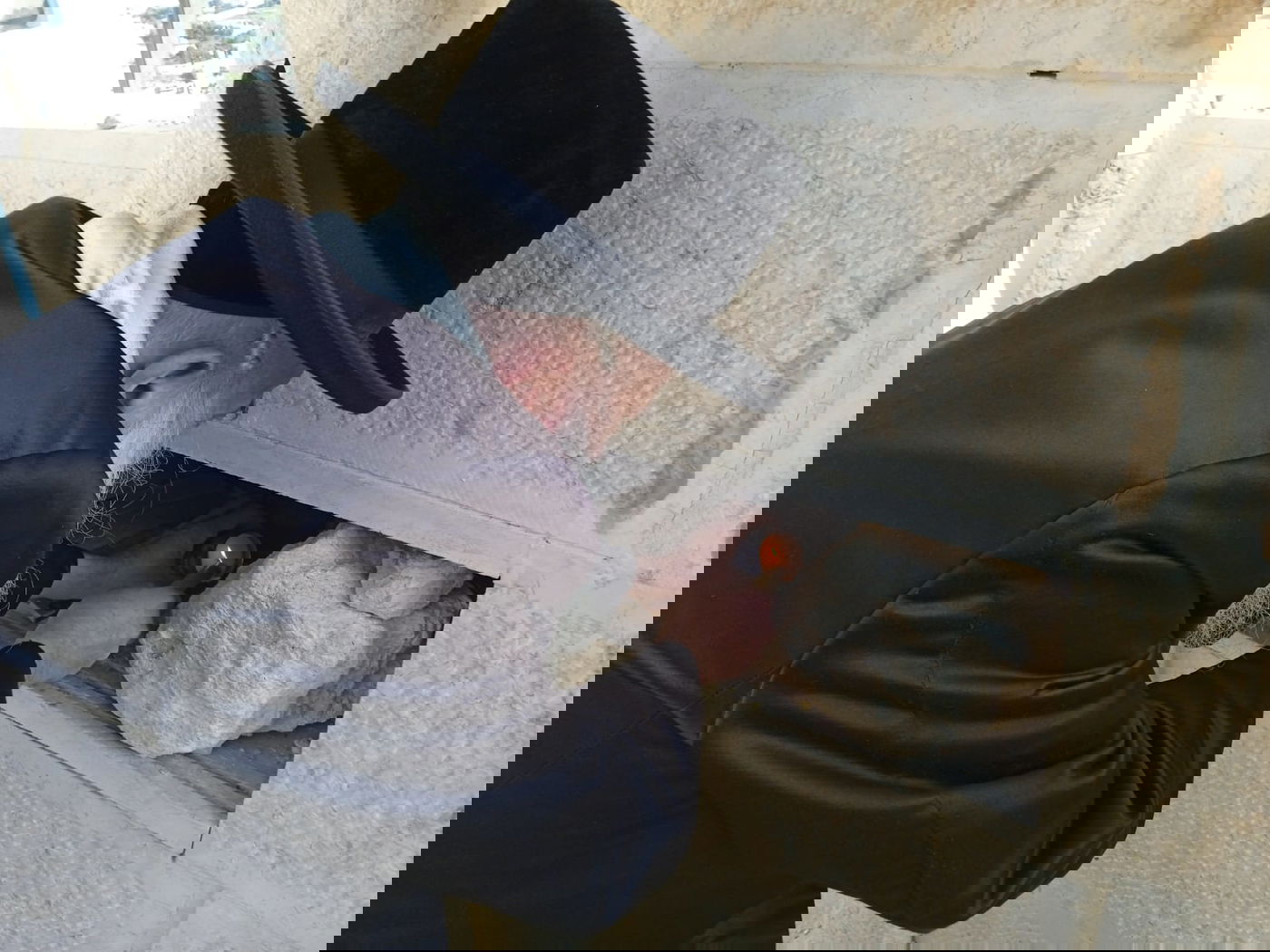 האדמו"ר מבוטושאן על ציון אביו בהר הזיתים