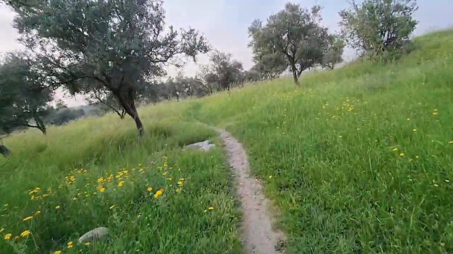 חירבת כפר רות בעדשת המצלמה של ישראל שפירא