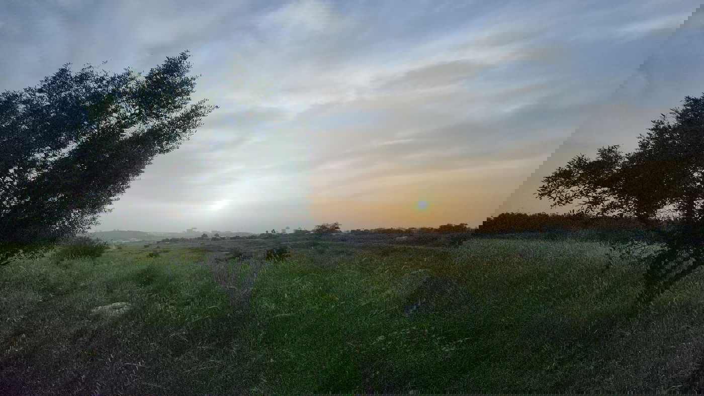 שבילי חירבת כפר רות