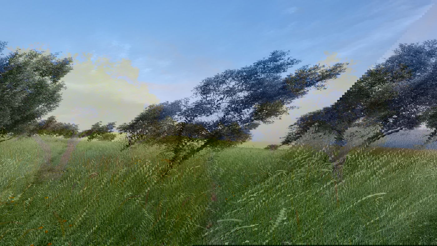 שבילי חירבת כפר רות