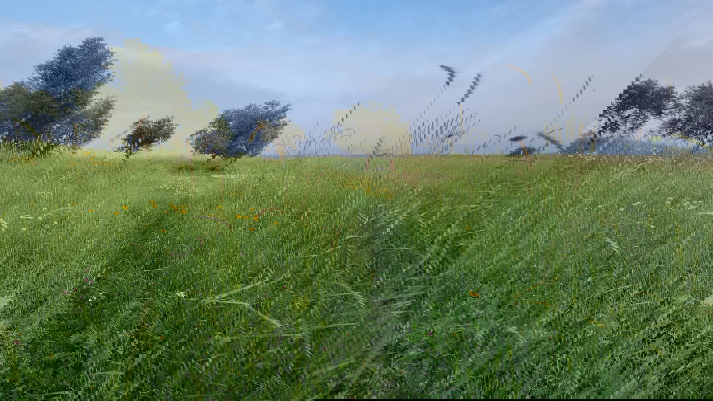 שבילי חירבת כפר רות