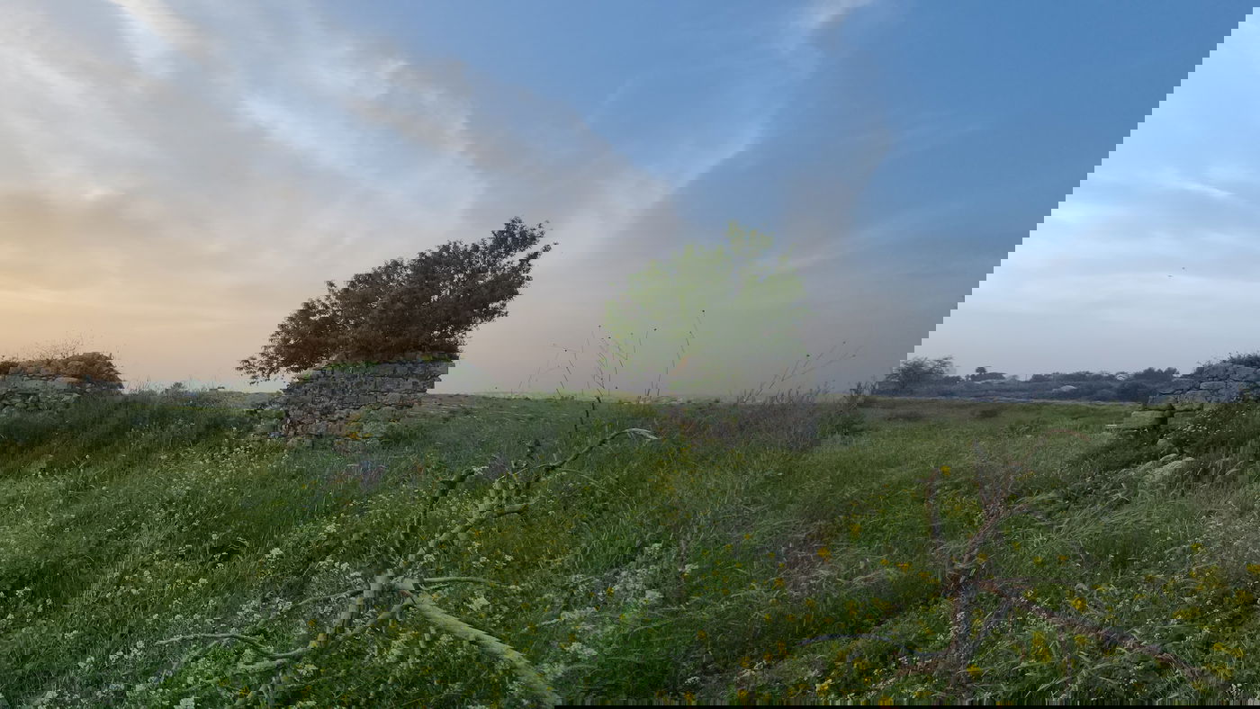 קבר השייח' בחירבת כפר רות