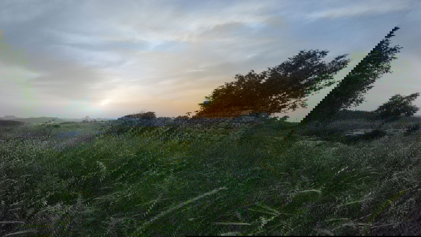 קבר השייח' בחירבת כפר רות