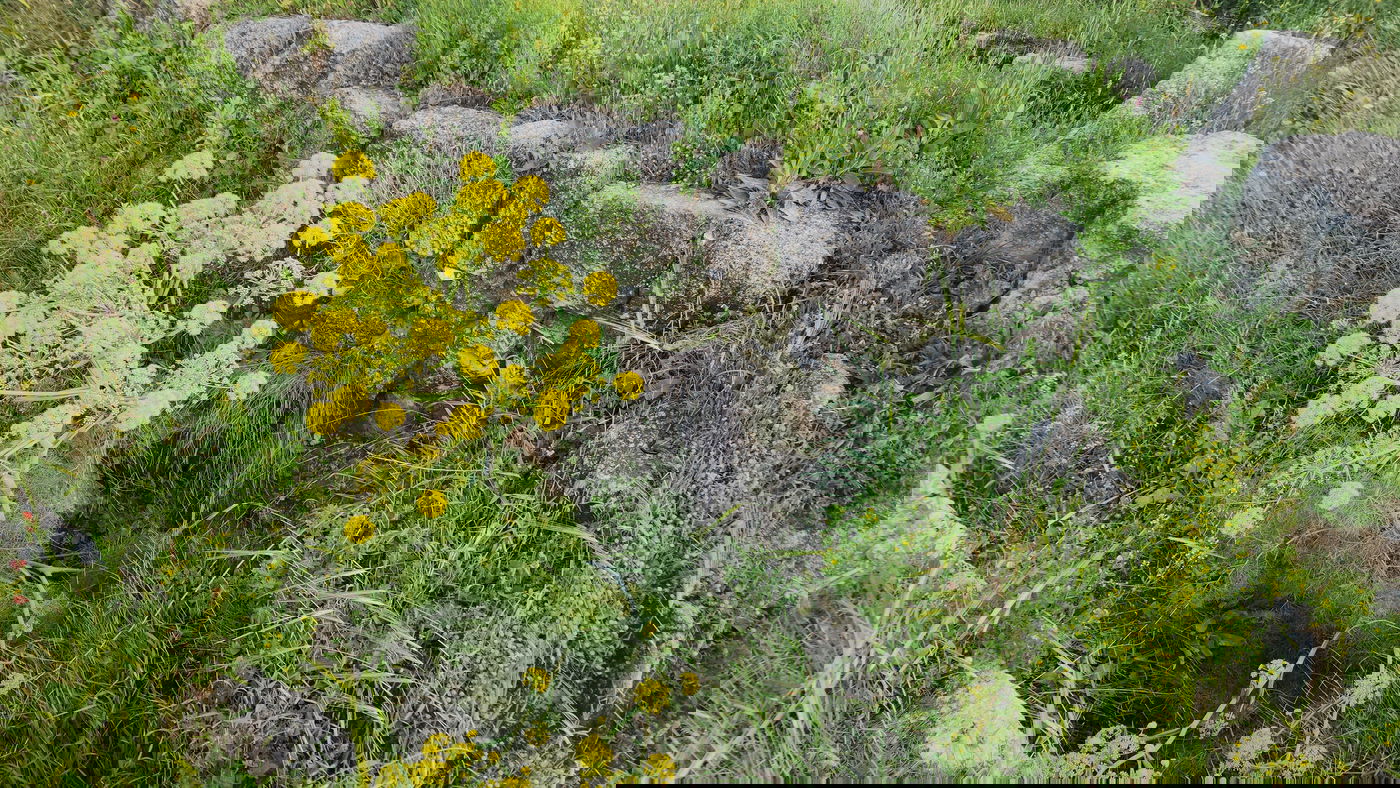 בית גאים יסח השם. שרידי המבנה הנוצרי בחירבת כפר רות