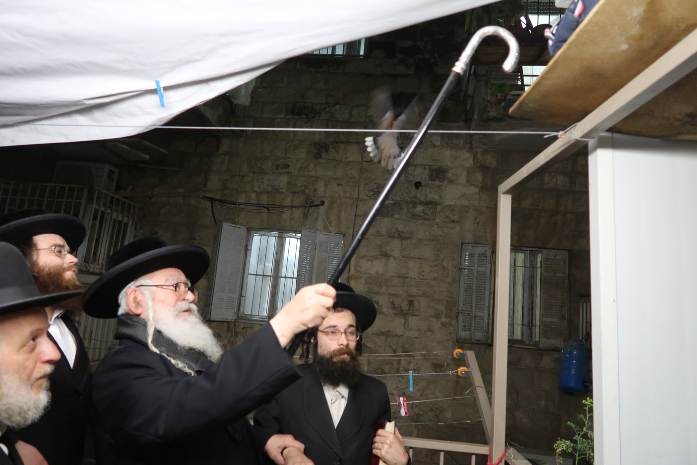 האדמו''ר ממשכנות הרועים בשילוח הקן