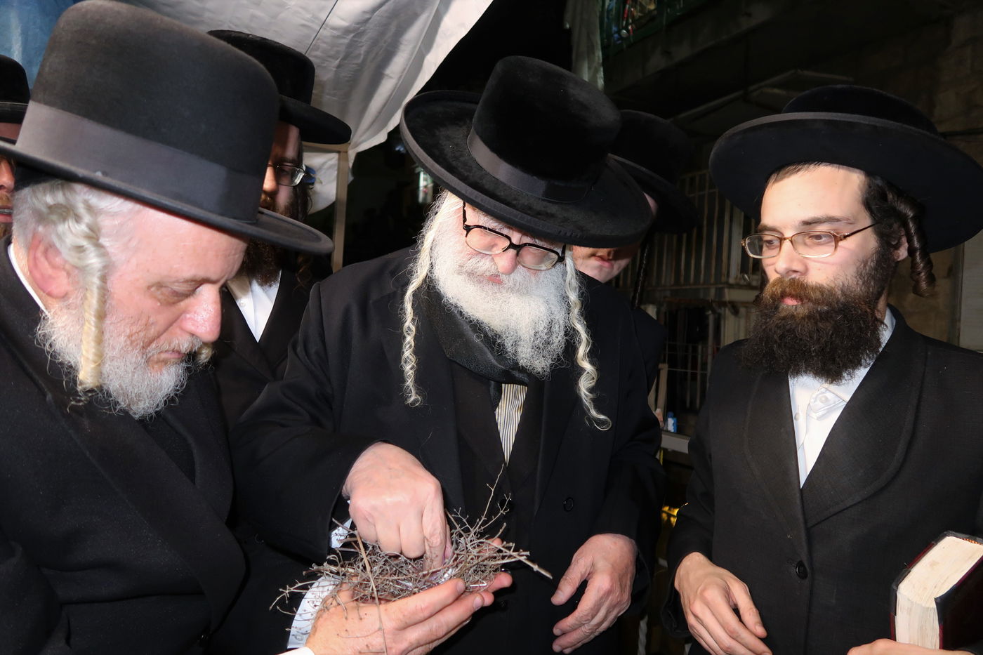 האדמו''ר ממשכנות הרועים בשילוח הקן