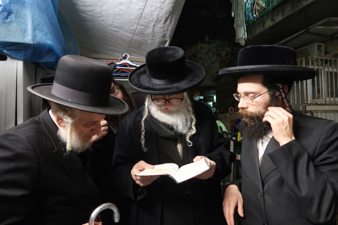 האדמו''ר ממשכנות הרועים בשילוח הקן