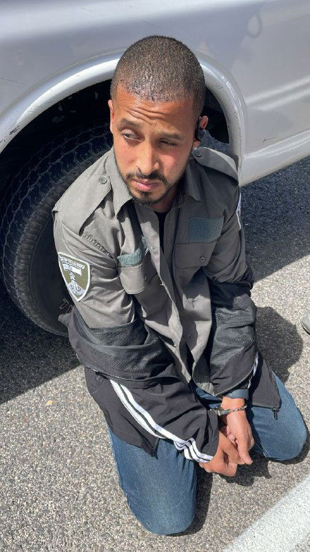 חטופה נהרגה מירי צה"ל; קצינים הודחו בגלל הרג עובדי הסיוע; קרב בצפון | מתעדכן