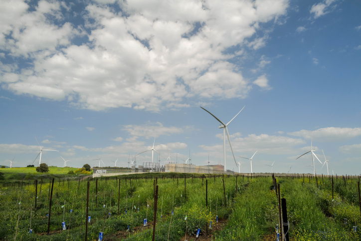 הטמפרטורות מתחילות לרדת - ובתחילת השבוע גם יירד גשם