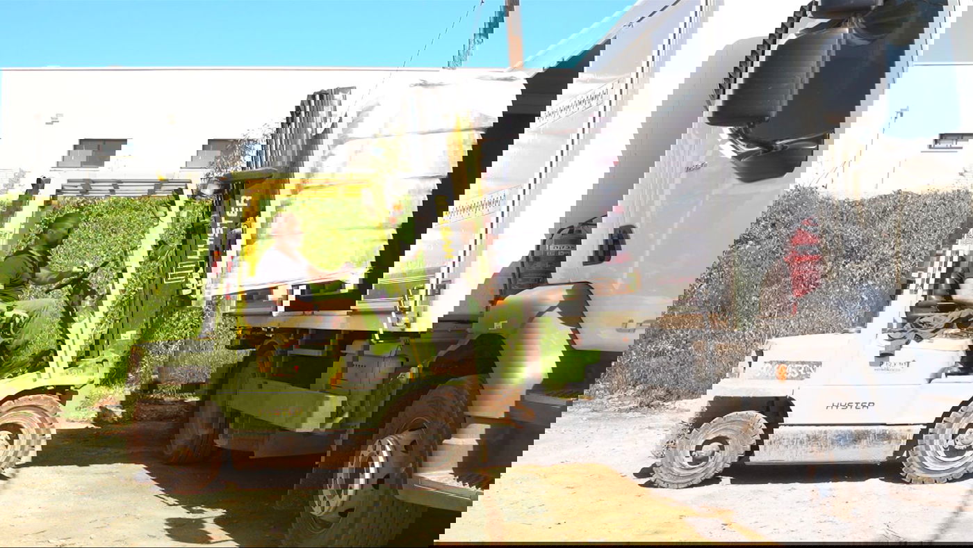 תיעוד מההערכות