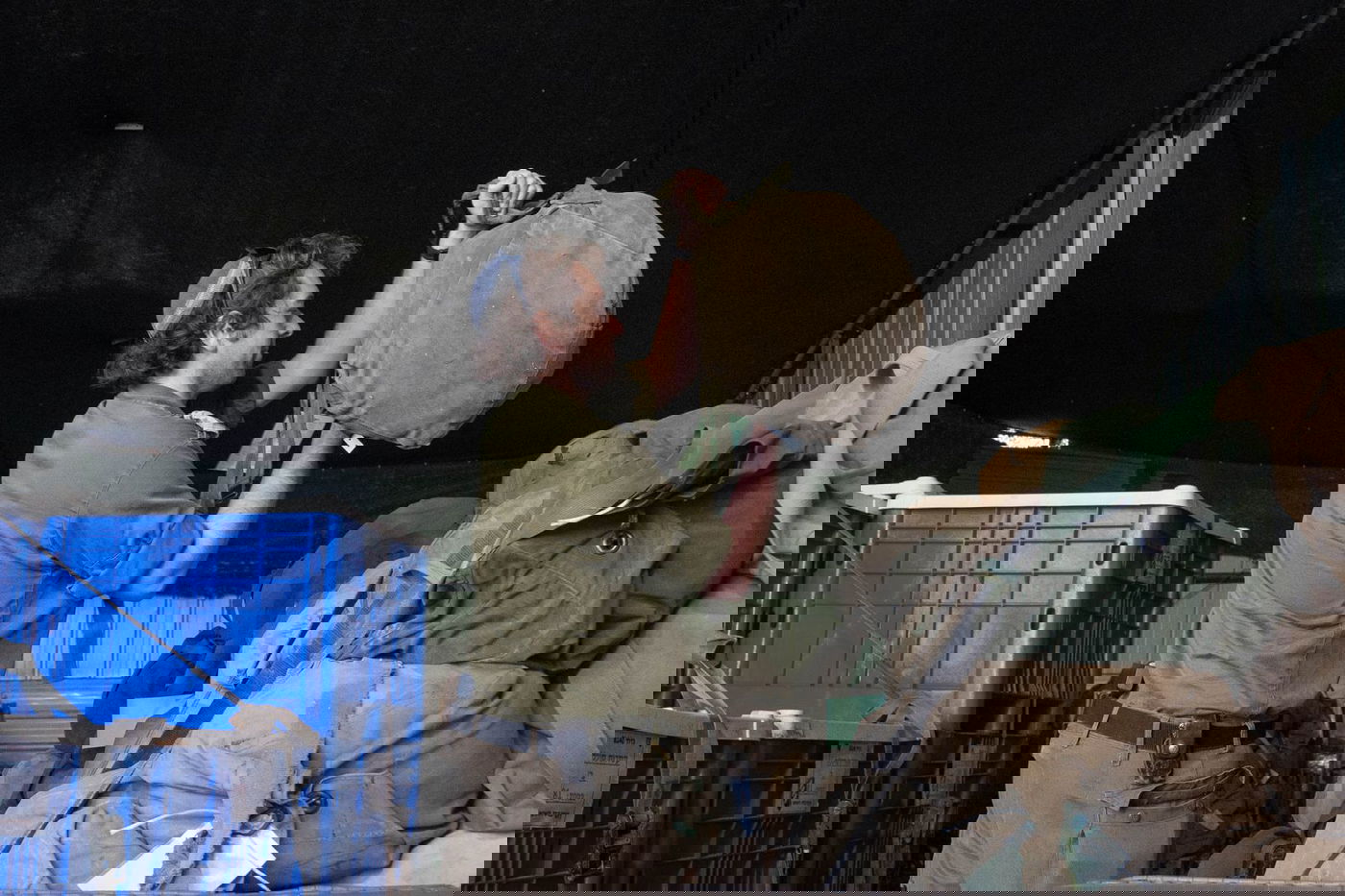 תיעוד מההערכות