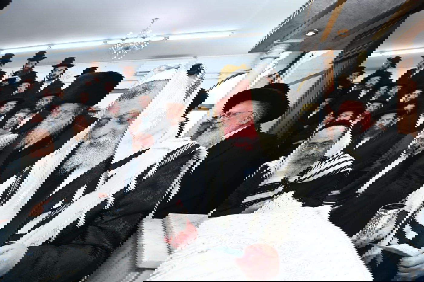 ברית מודז'יץ לעלוב