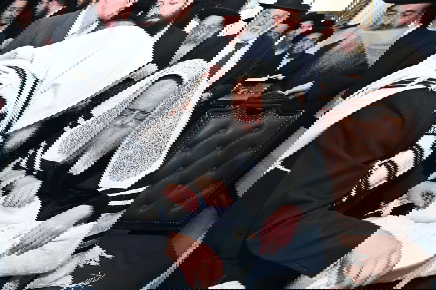 ברית מודז'יץ לעלוב