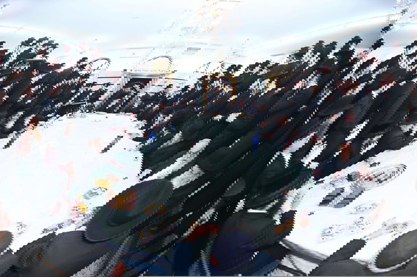 ברית מודז'יץ לעלוב