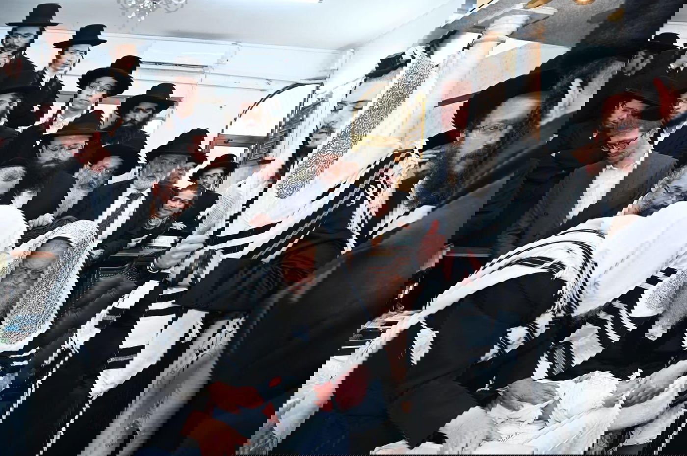 ברית מודז'יץ לעלוב