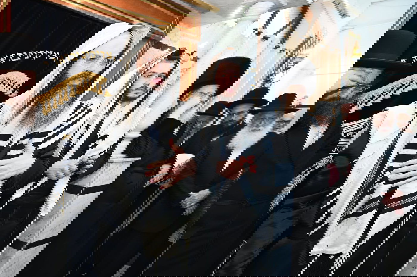 ברית מודז'יץ לעלוב