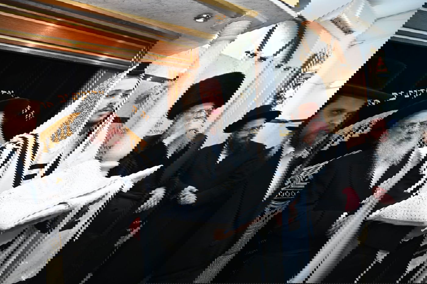 ברית מודז'יץ לעלוב