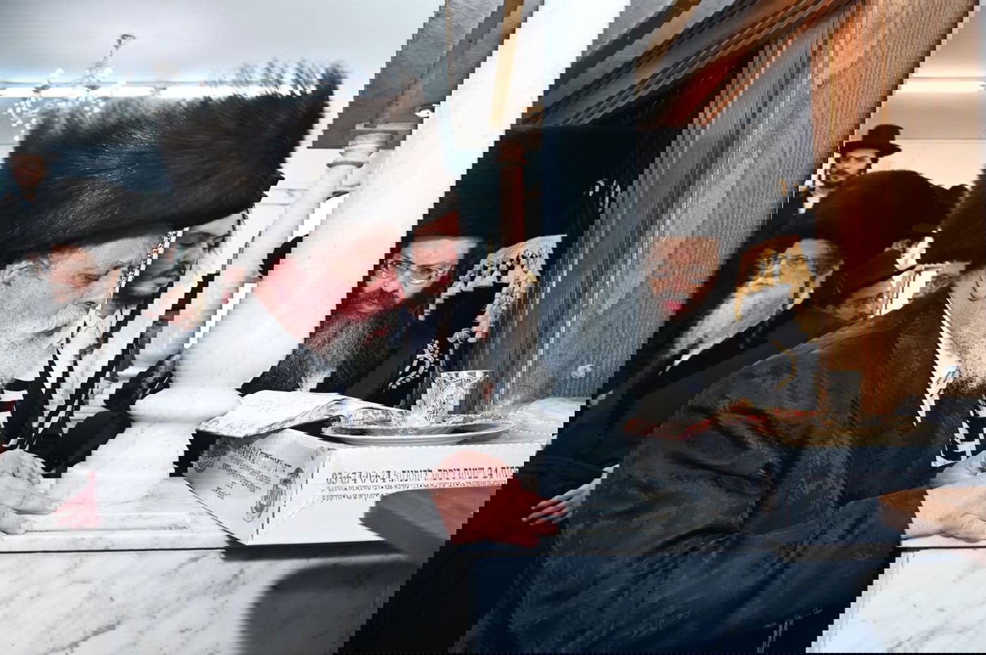 ברית מודז'יץ לעלוב