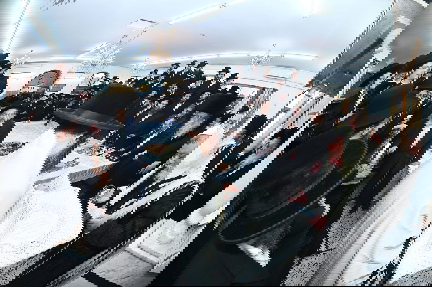 ברית מודז'יץ לעלוב