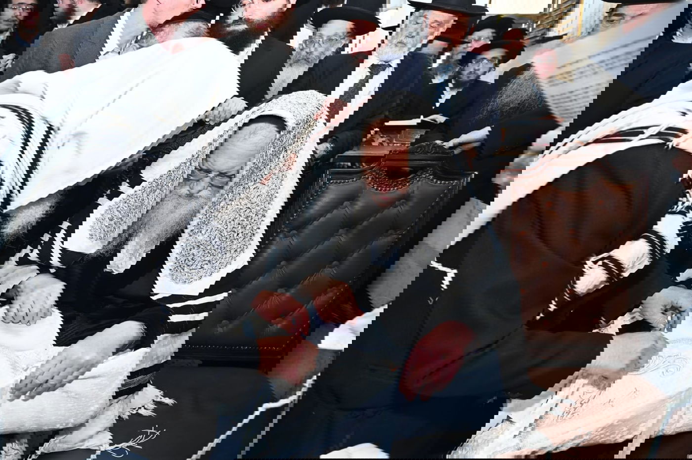 ברית מודז'יץ לעלוב