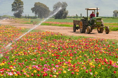 התחזית: הטמפרטורות ירדו; גשם מקומי בצפון ובמרכז