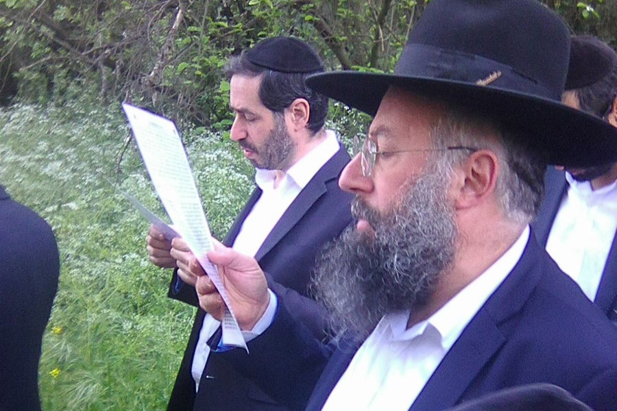 לאחר הנץ: הפוסק הספרדי בברכת האילנות עם בני הקהילה | תיעוד