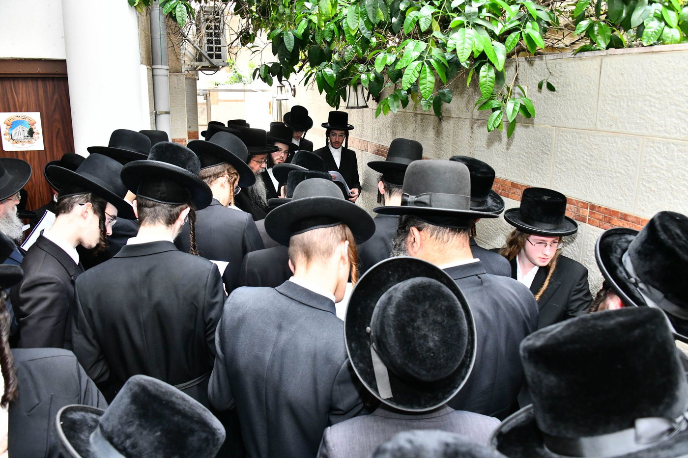 האדמו"ר משבט הלוי בברכת האילנות 