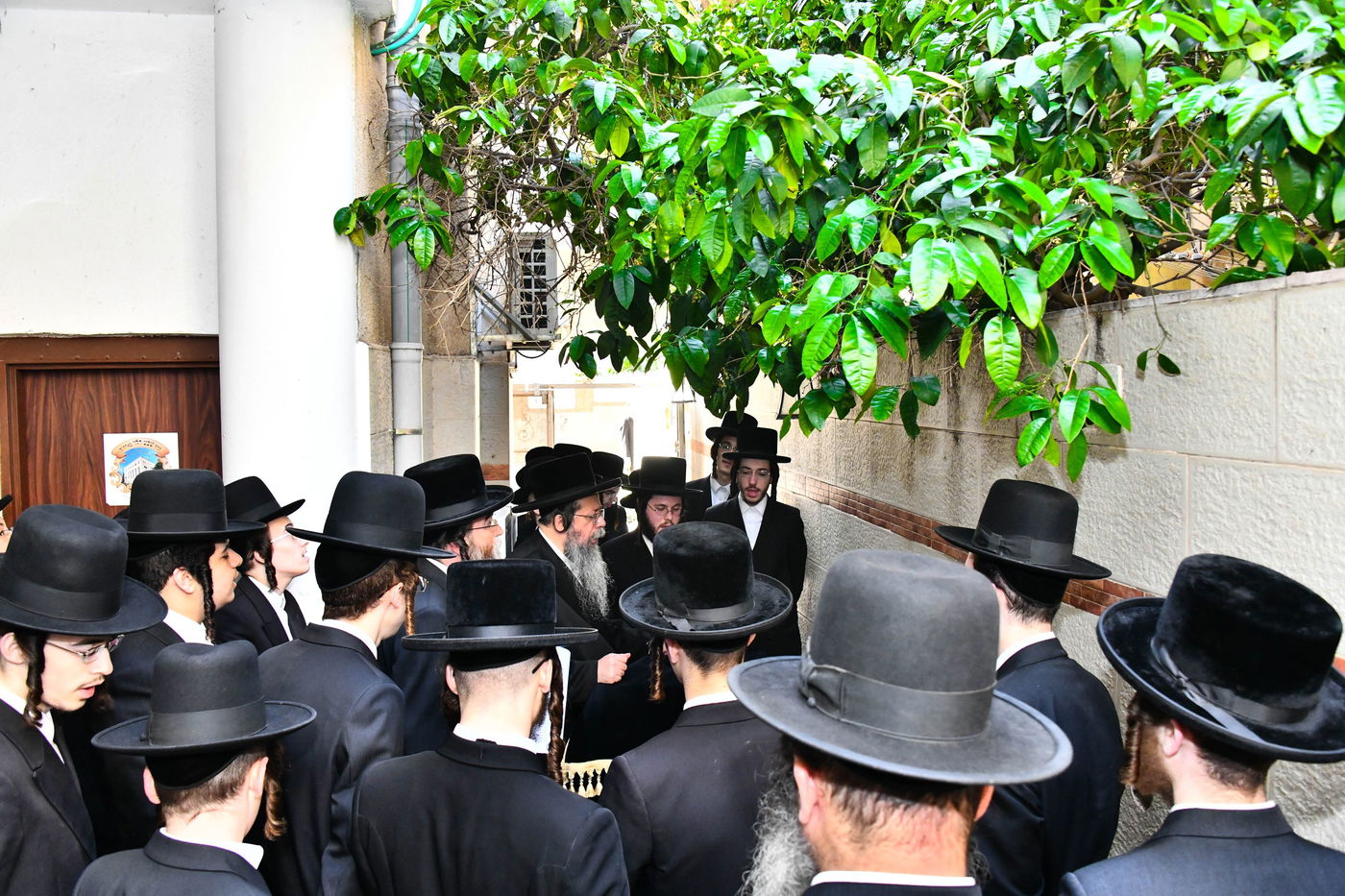 האדמו"ר משבט הלוי בברכת האילנות 