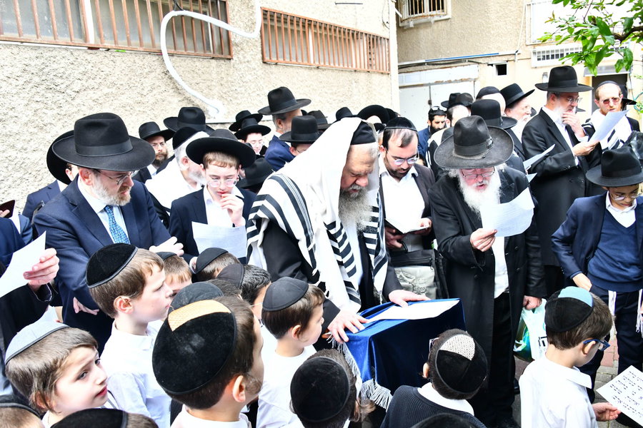 הגרמ"ש אדלשטיין בברכת האילנות