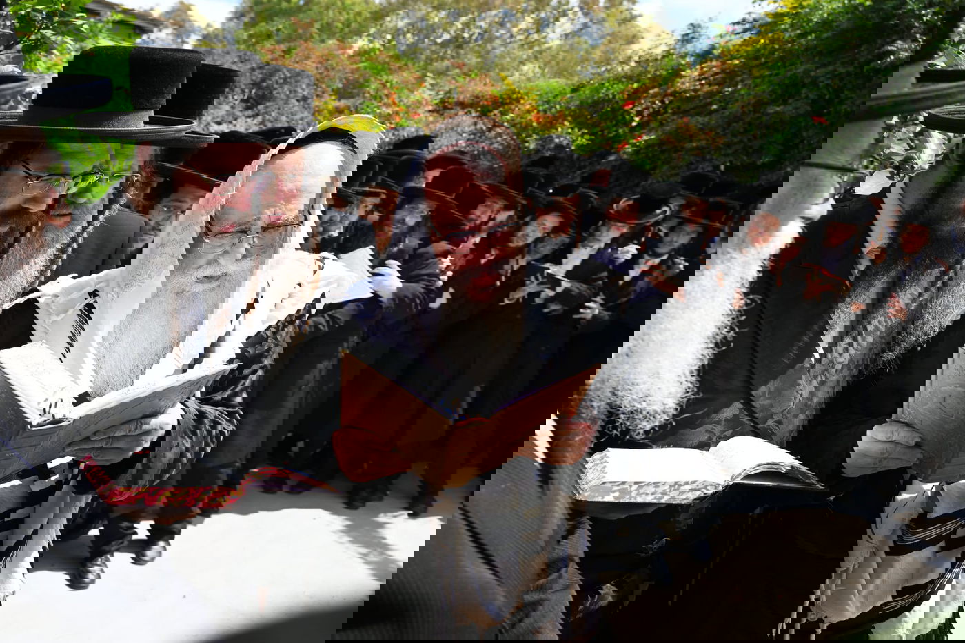 עטוף בטלית: האדמו"ר מצאנז ערך 'ברכת האילנות'