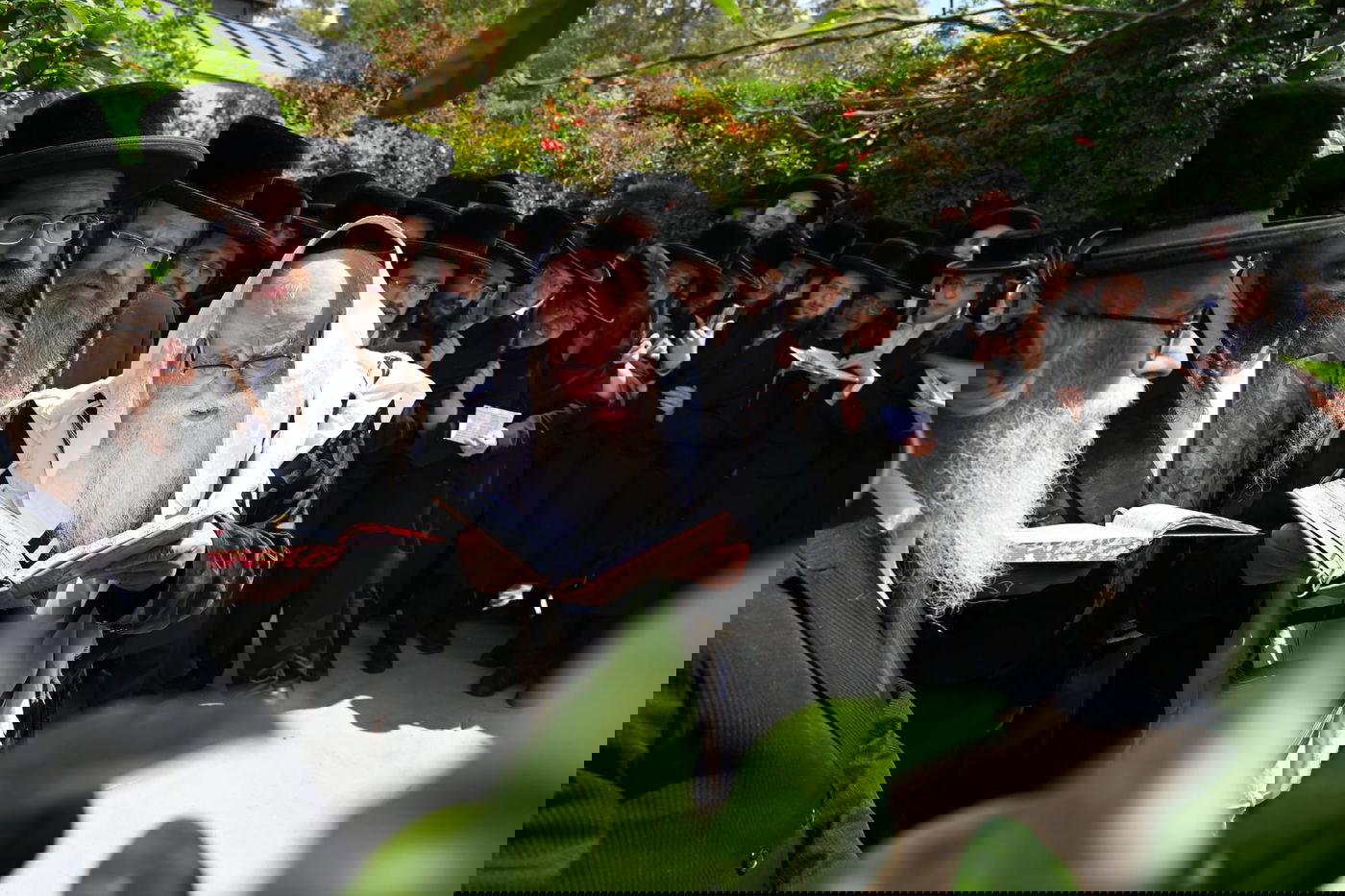 עטוף בטלית: האדמו"ר מצאנז ערך 'ברכת האילנות'