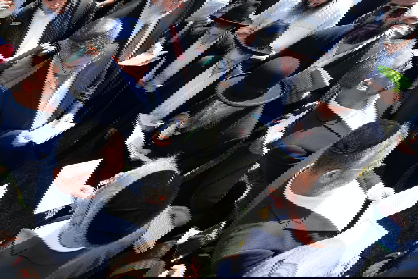 קידוש ה' בגן הציבורי ברמת גן - מאות התאספו לברכת האילנות 