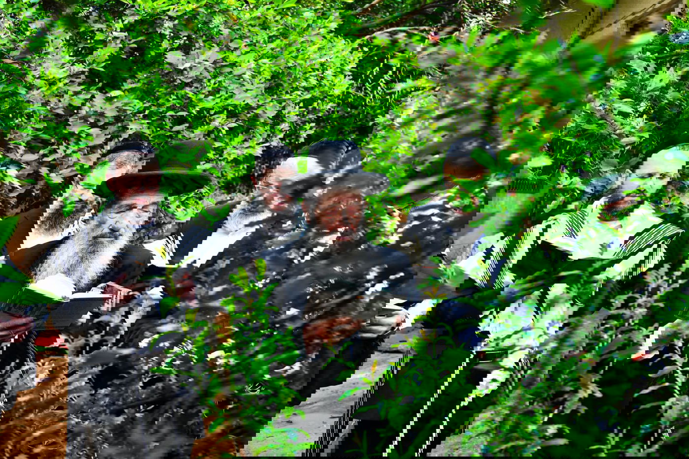 הגר"נ בן שמעון