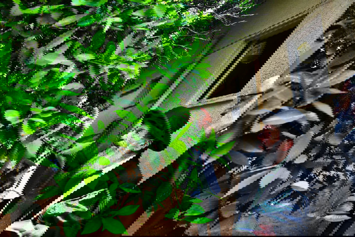 הגר"נ בן שמעון