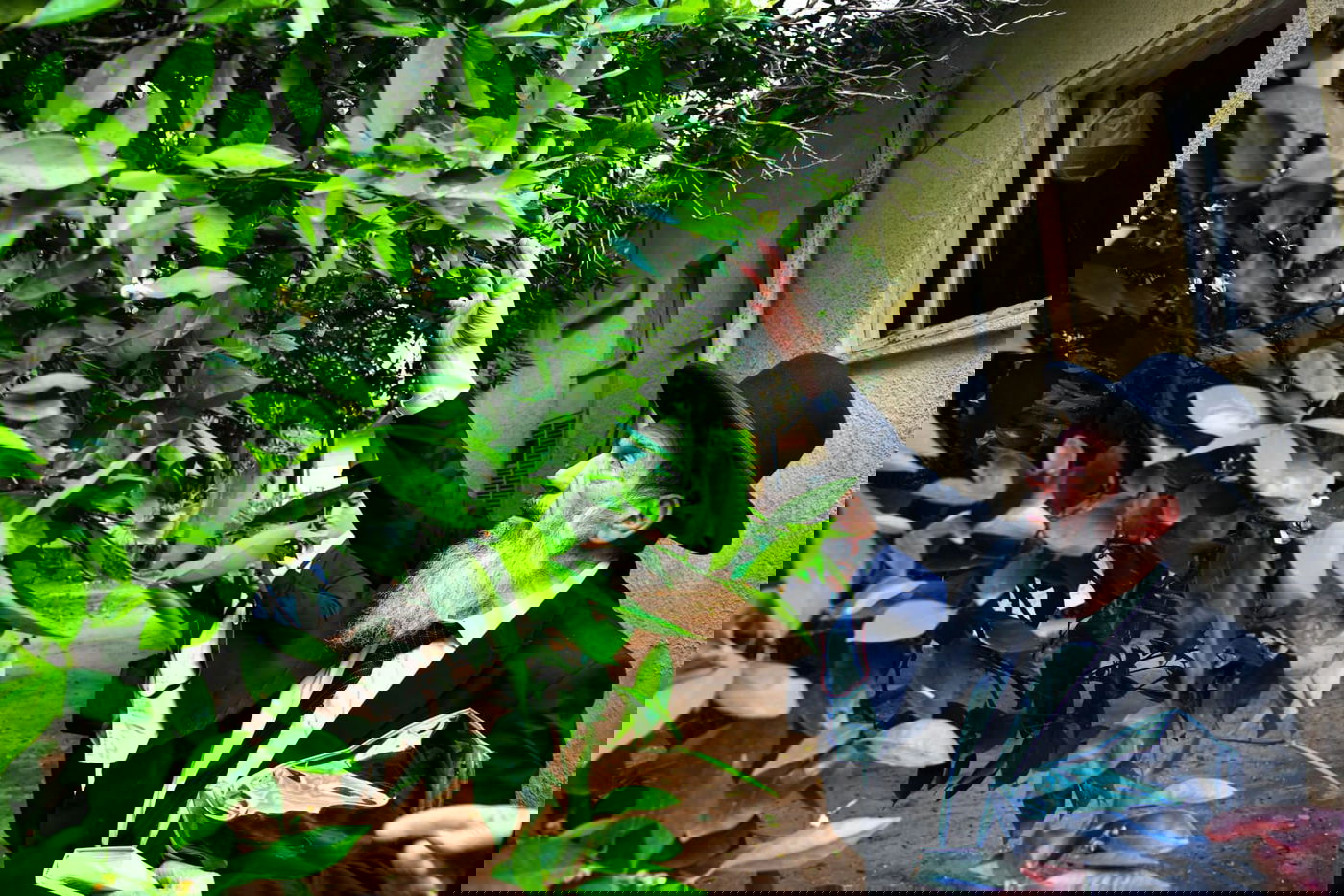 הגר"נ בן שמעון