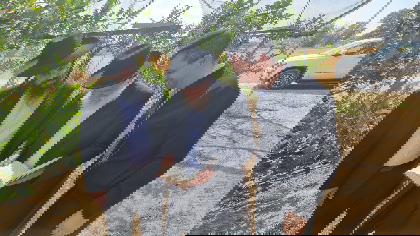 הגר"ש מחפוד בברכת האילנות 