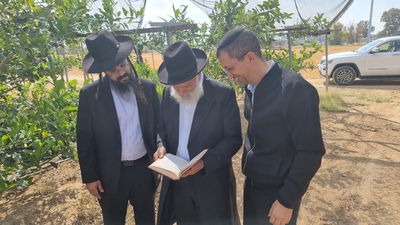 הגר"ש מחפוד בברכת האילנות 