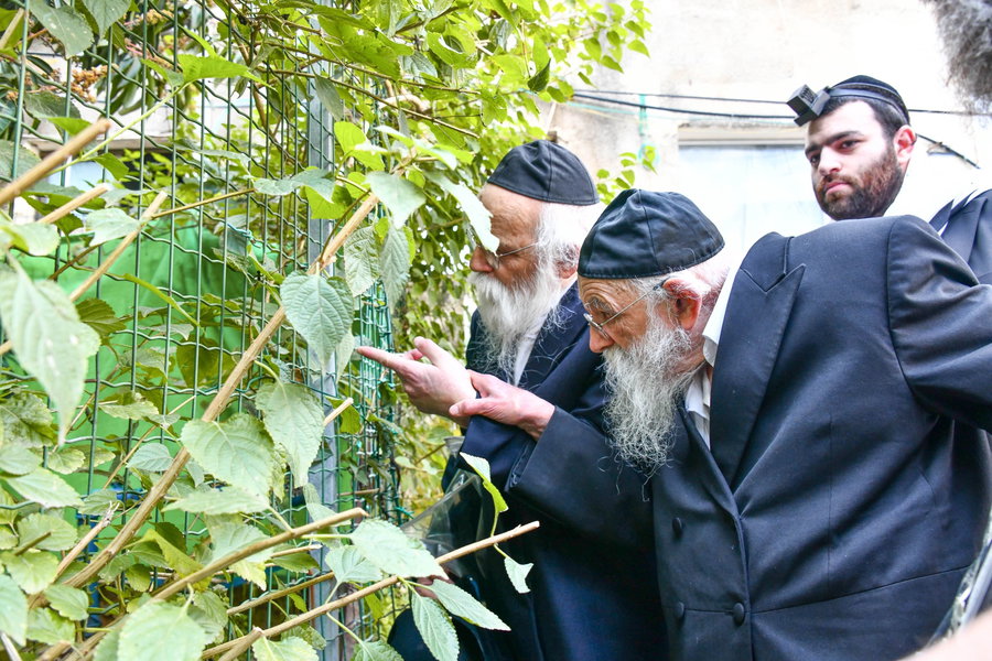 הגר"מ גריינמן בברכת האילנות