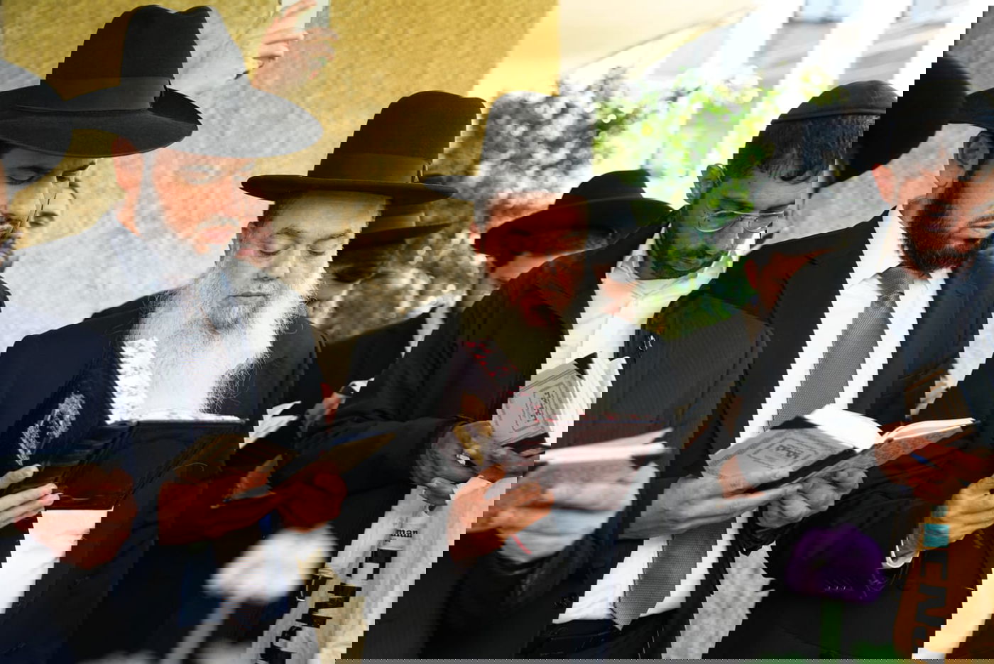 מזכה הרבים בירך ברכת האילנות עם תלמידיו • תיעוד