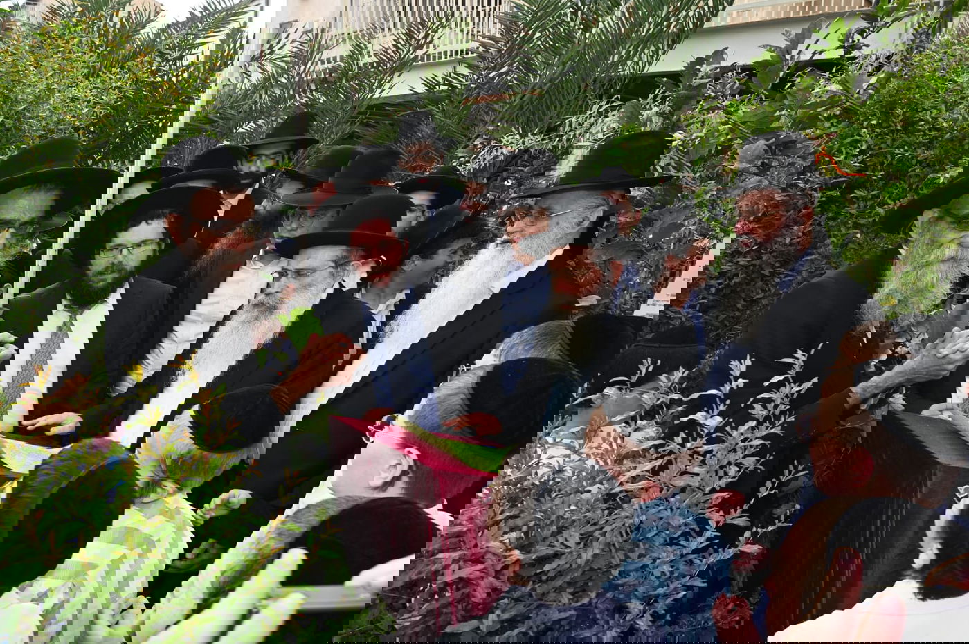 הגר" ששטינמן בברכת האילנות