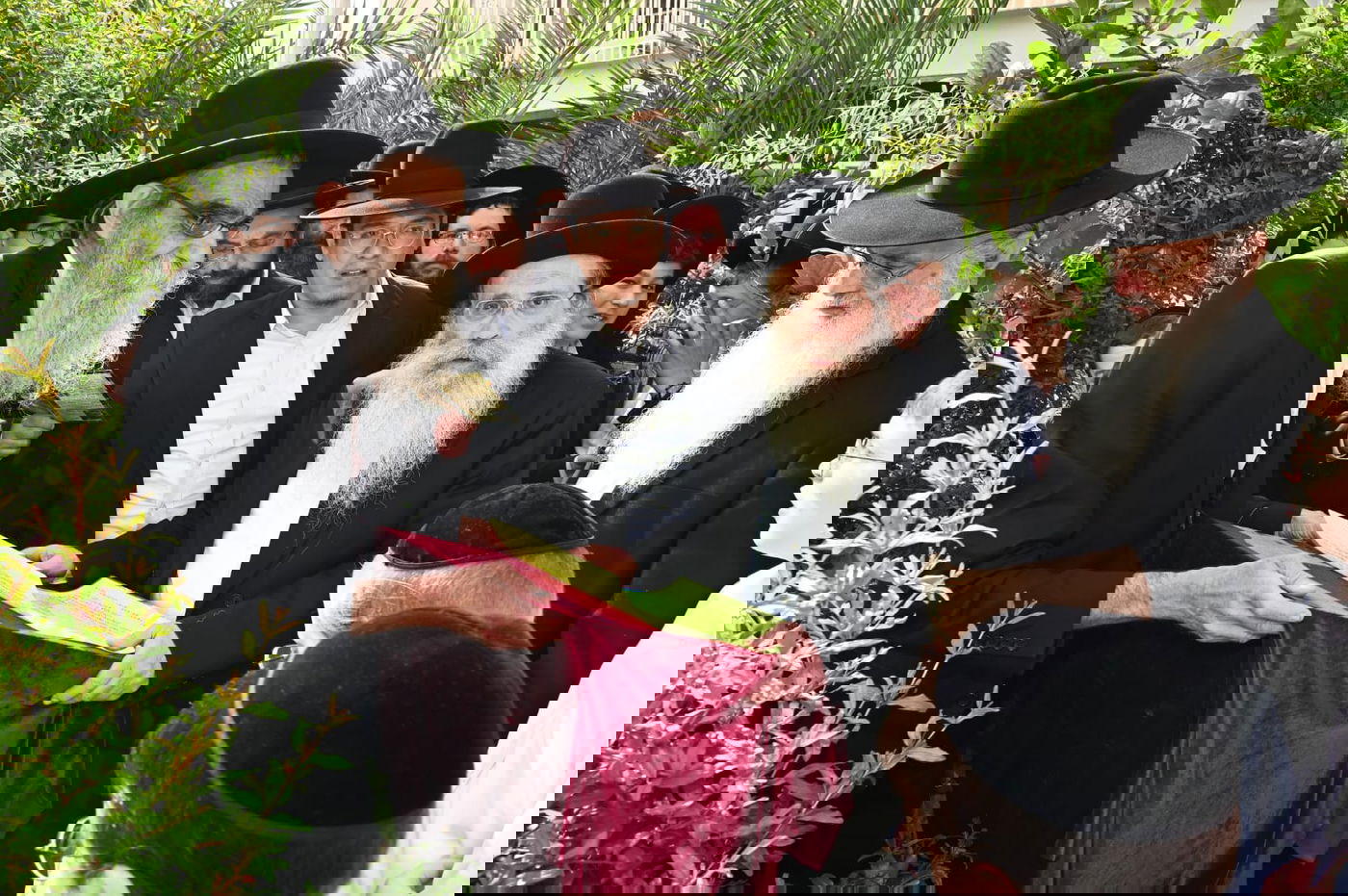 הגר" ששטינמן בברכת האילנות