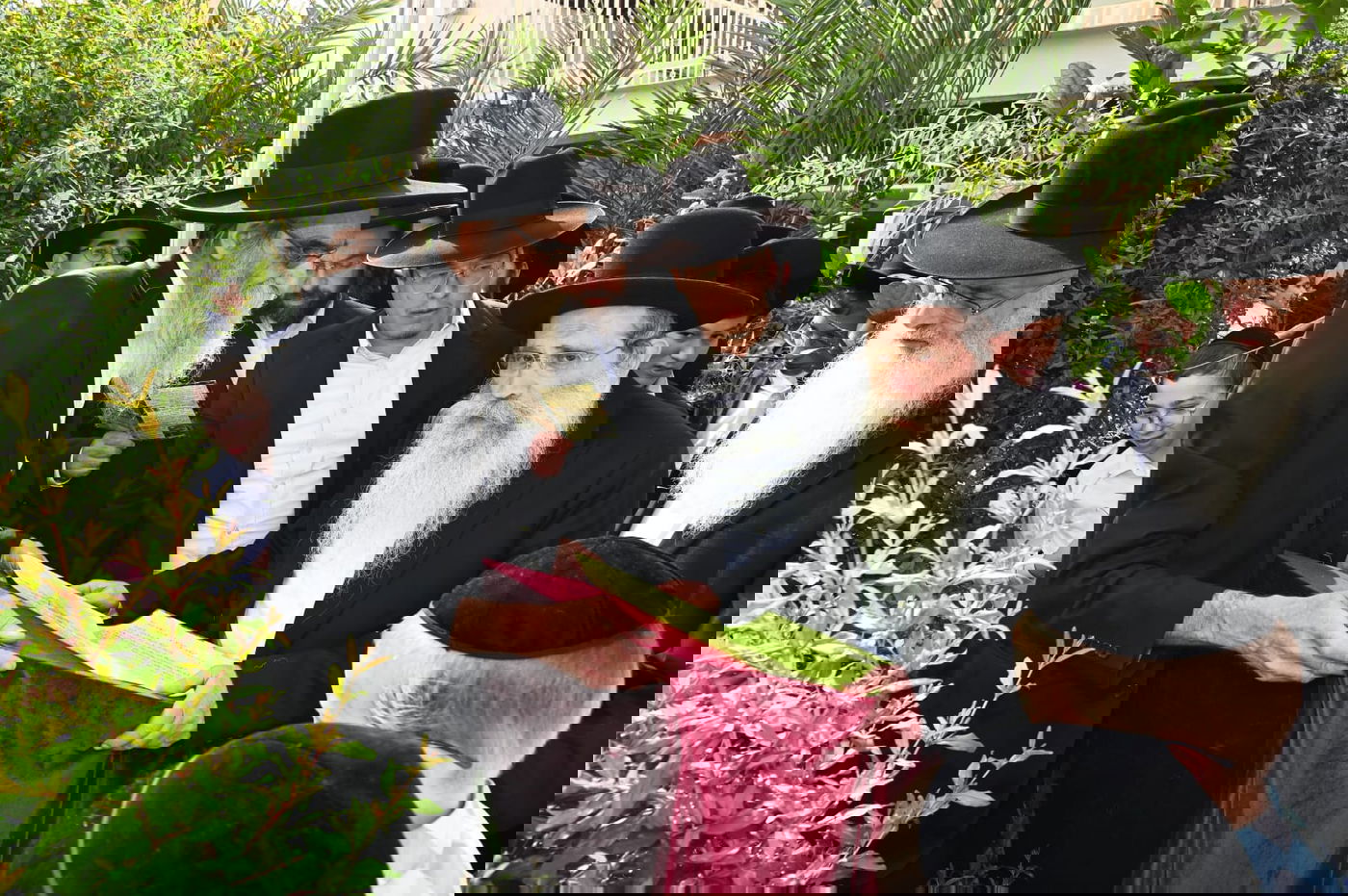 הגר" ששטינמן בברכת האילנות