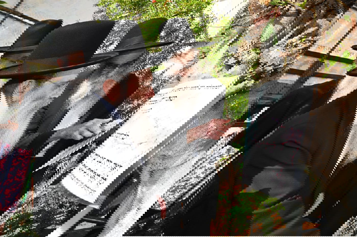 הגר" ששטינמן בברכת האילנות