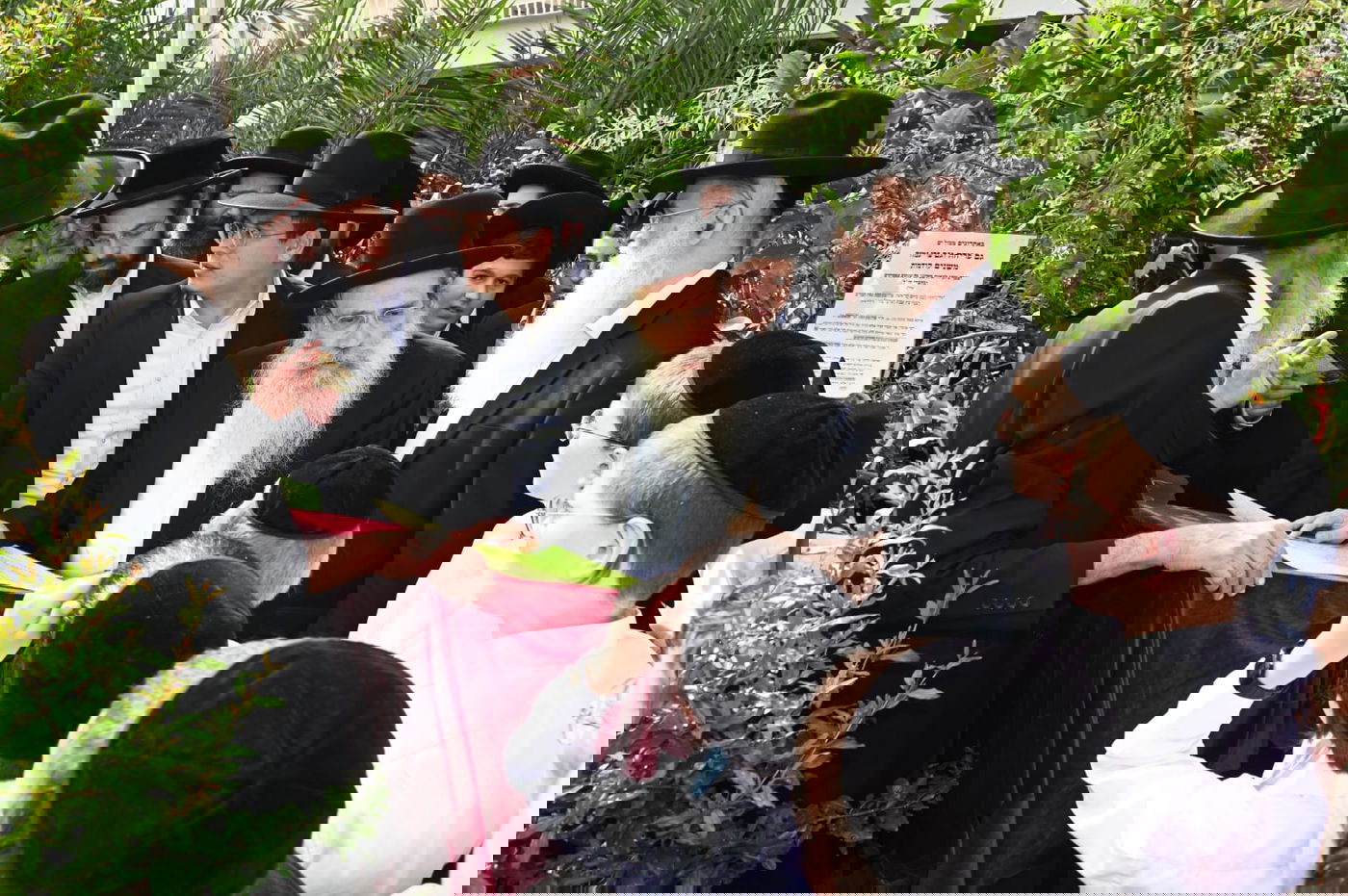 הגר" ששטינמן בברכת האילנות