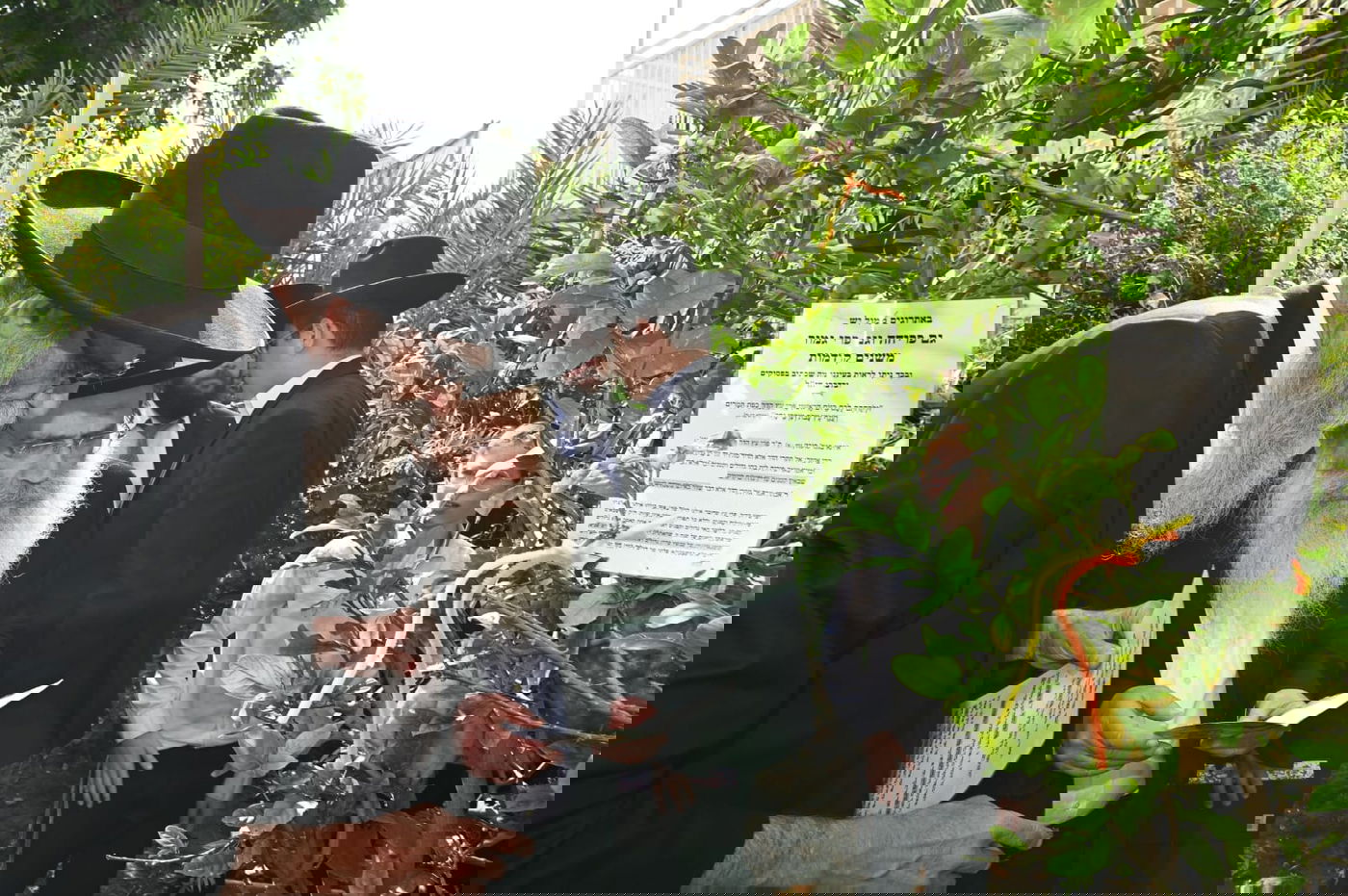 הגר" ששטינמן בברכת האילנות