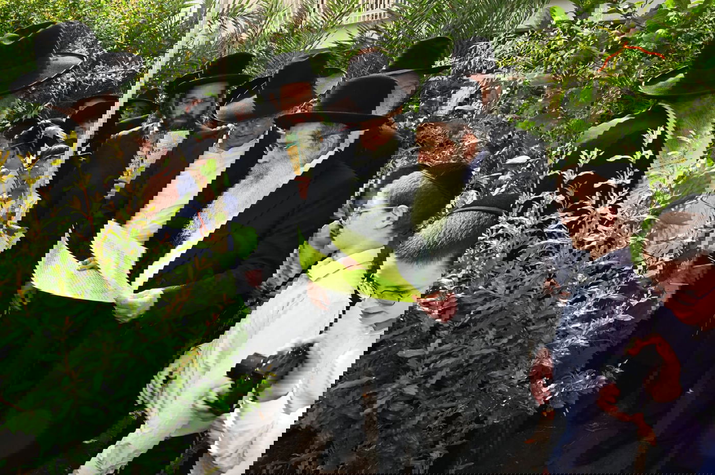 הגר" ששטינמן בברכת האילנות