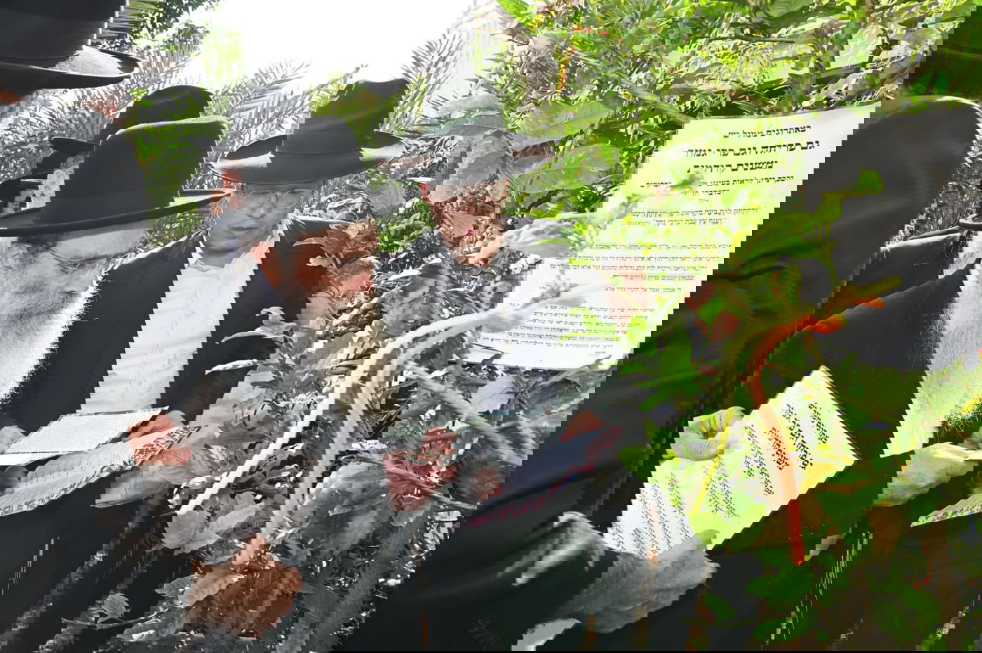 הגר" ששטינמן בברכת האילנות