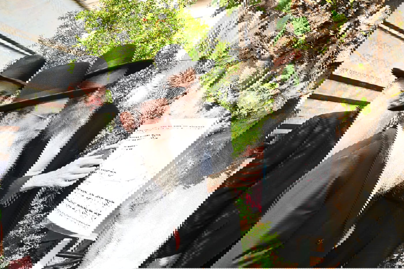 הגר" ששטינמן בברכת האילנות