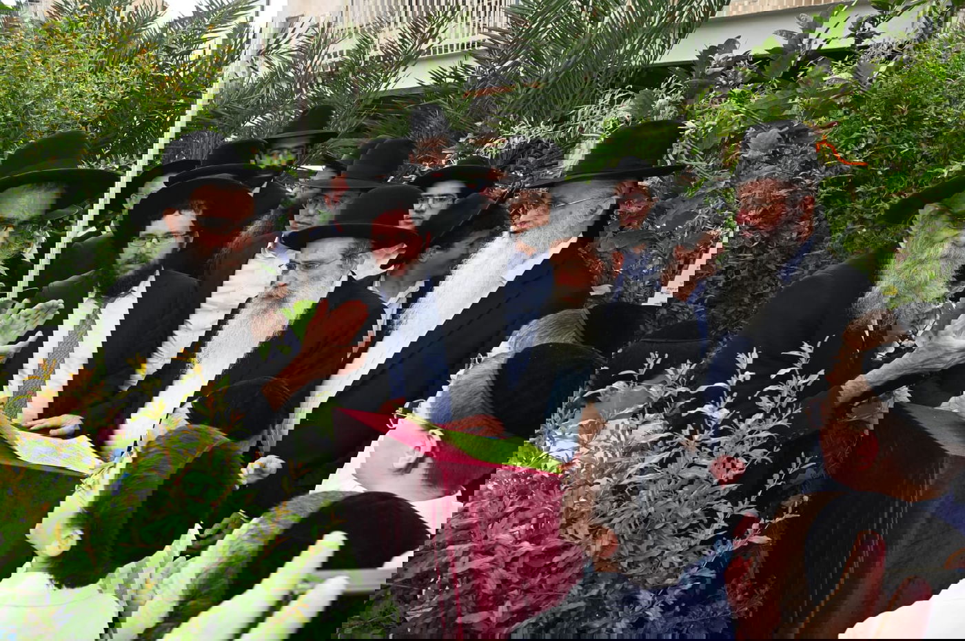 הגר" ששטינמן בברכת האילנות