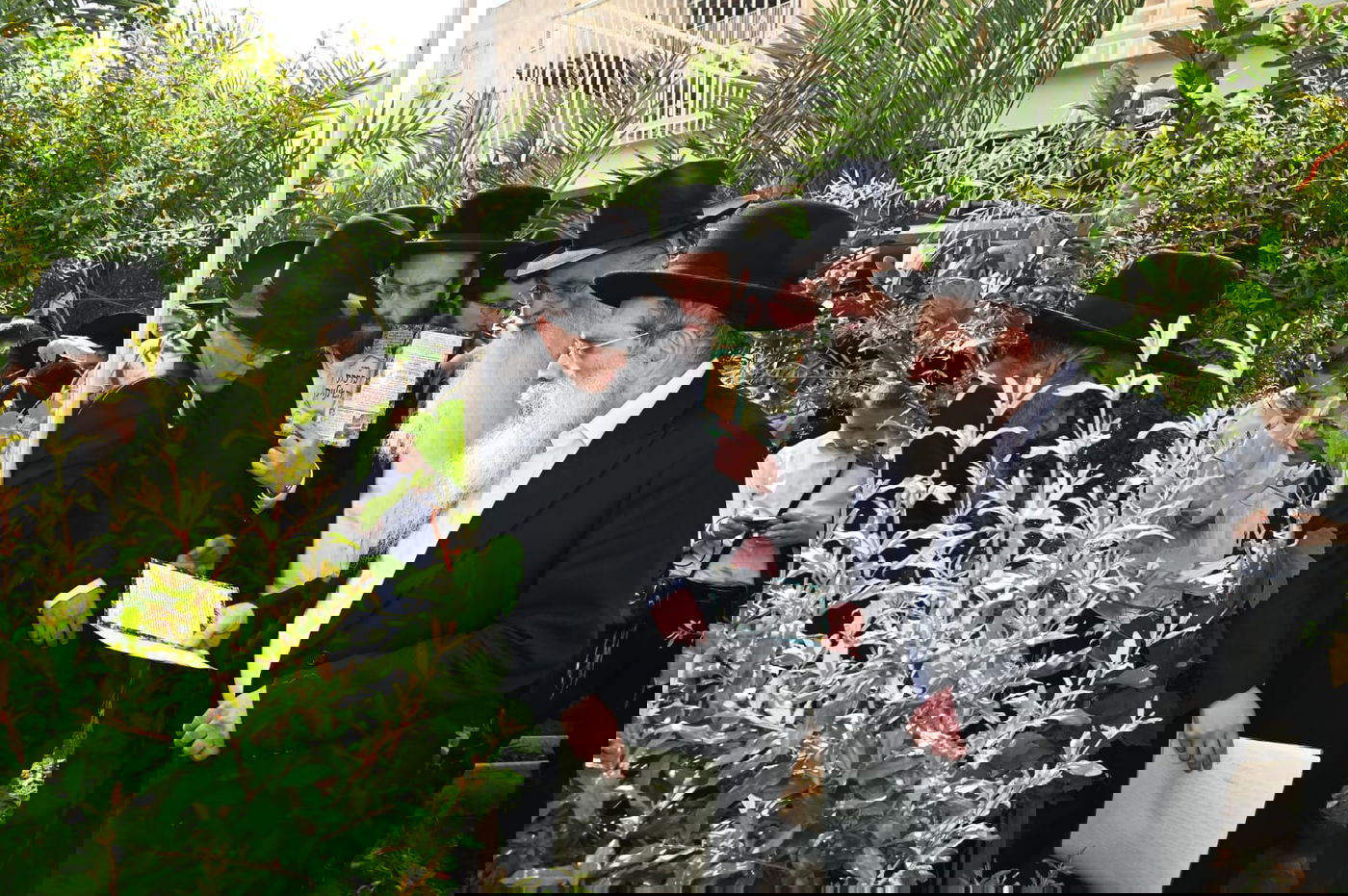 הגר" ששטינמן בברכת האילנות